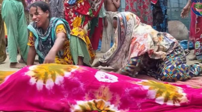 ঝিনাইগাতীতে ভাতিজার হাতে চাঁচি খুন