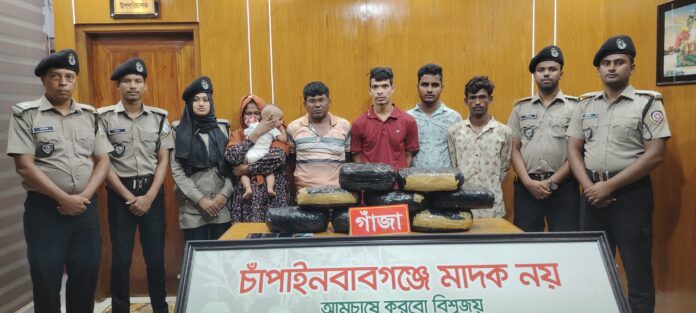 চাঁপাইনবাবগঞ্জে বিপুল পরিমান গাঁজা উদ্ধার