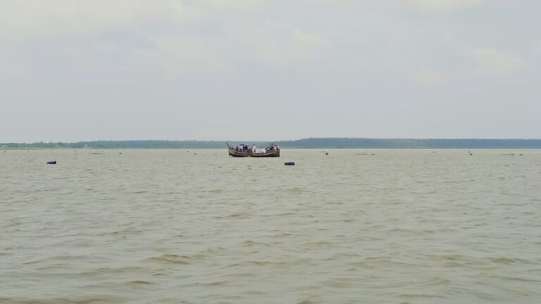 মেঘনা নদীতে মাছ ধরতে গিয়ে জেলের মৃত্যু