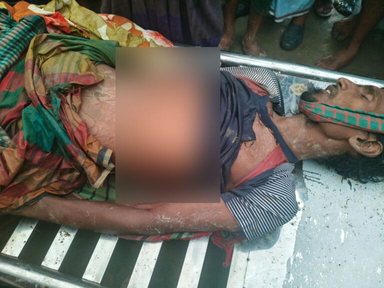 মহিষের আক্রমণে মালিক নিহত
