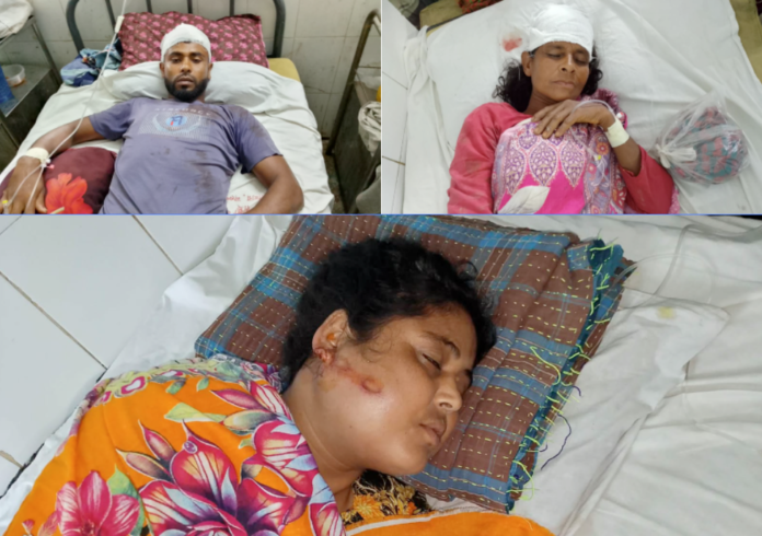 সাপাহারে বিবাদমান সম্পত্তি নিয়ে সৃষ্ট সংঘর্ষে মহিলা সহ আহত- ৩