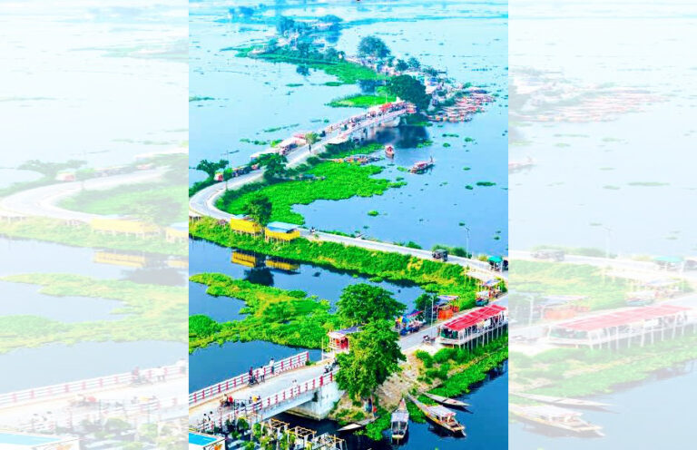 প্রকৃতির ক্যানভাসে আঁকা এক অপরূপ জলছবি: মুগ্ধতা ছড়াচ্ছে চান্দিনার ঘুঘরার বিল