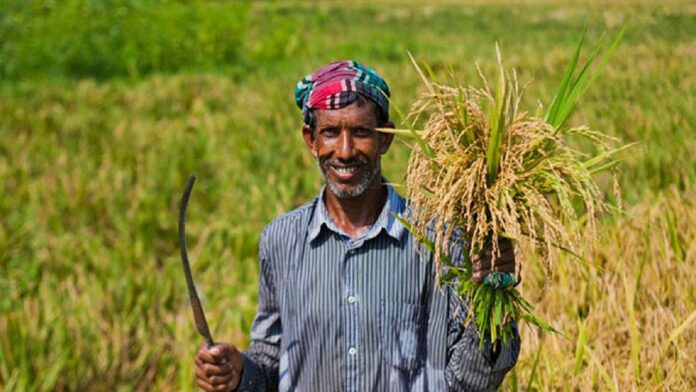 দক্ষিণ-পশ্চিমাঞ্চলের ১০ জেলায় ৫৬ হাজার ৭৪৮ কৃষকের ৪১ কোটি ৭৯ লাখ টাকার কৃষিঋণ মওকুফ