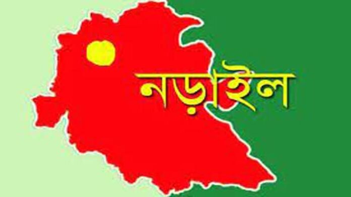 নড়াইলে স্বামীর হাতুড়ির আঘাতে স্ত্রী নিহত