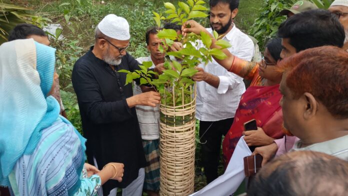 সাপাহারে বৃক্ষরোপণ কর্মসূচির উদ্বোধন