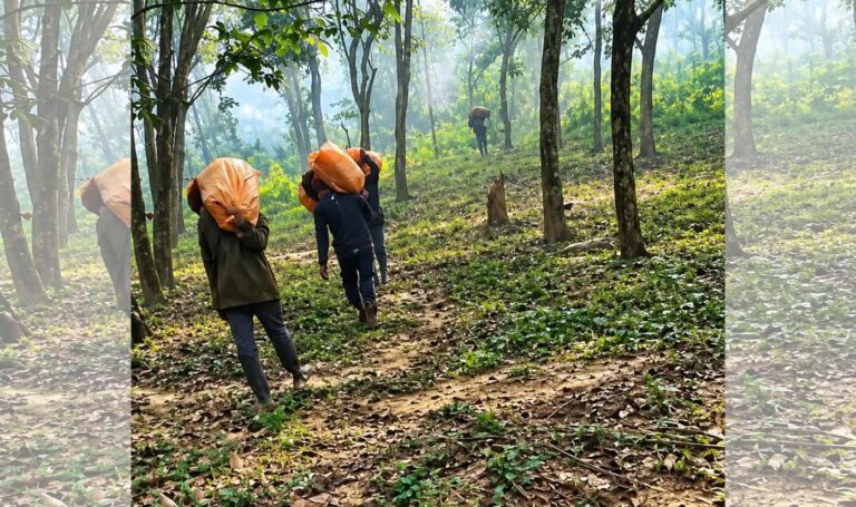 ঝিনাইগাতী গারো পাহাড়ে মাদক কারবারিদের এলাকায়,সাংবাদিক ঢুকলেই হত্যার হুমকি