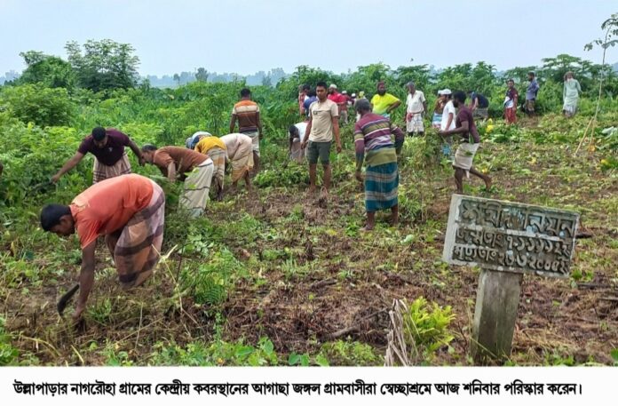 উল্লাপাড়ায় গ্রামবাসীরা স্বেচ্ছাশ্রমে যে কাজ করলেন