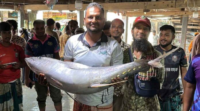 কুয়াকাটায় ২৯ কেজির বিরল ইয়েলোফিন টুনা, ৪০ হাজার টাকায় বিক্রি