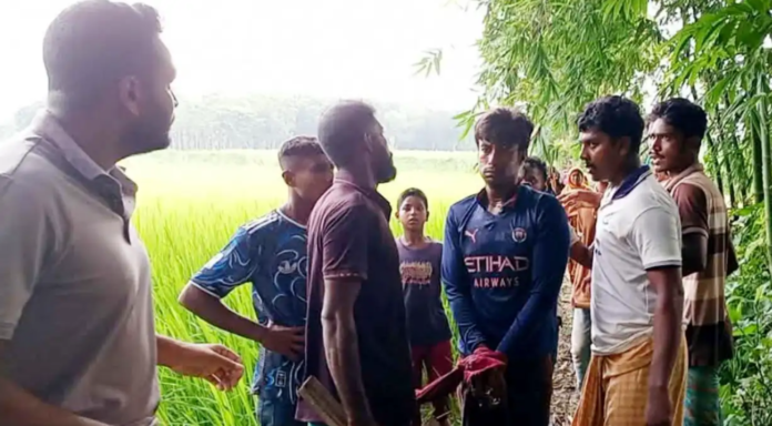ঝিনাইদহে নেশার টাকা না পেয়ে মাকে কুপিয়ে হত্যা: ঘাতক ছেলে আটক