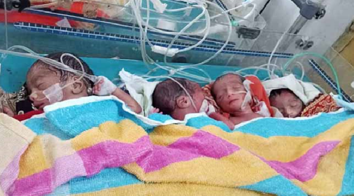 রামেকে একসঙ্গে জন্ম নেওয়া চার নবজাতককে মায়ের দুধ দেওয়া শুরু