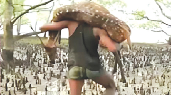 সুন্দরবনে অভিযান জোরদার: ৪৬ আটক, উদ্ধার ৩০ কেজি হরিণের মাংস ও দেড় হাজার মিটার ফাঁদ