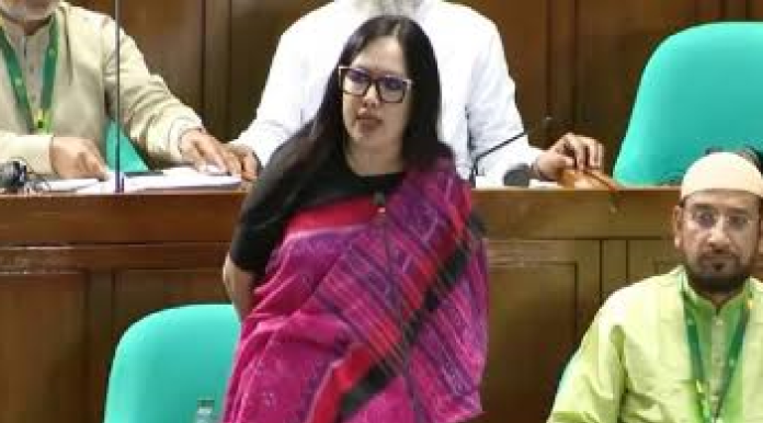 'টুকু আসে, টুকু যায়': সংসদে জ্বালানিসংকট ও লোডশেডিং নিয়ে রুমিন ফারহানার তীব্র ক্ষোভ