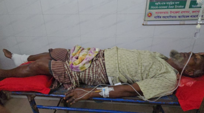 কলাপাড়ায় আওয়ামীলীগ নেতাকে পিটিয়ে জখম করেছে সন্ত্রাসীরা
