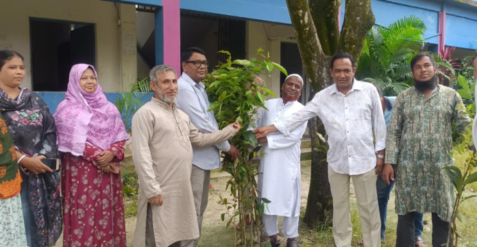 সাপাহারে ব্যক্তিগত উদ্যোগে গাছের চারা বিতরণ করলেন বিএনপি নেতা আব্দুর রহিম
