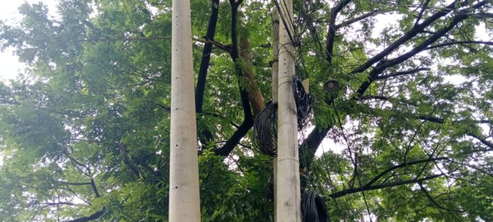 কলাপাড়ায় বিদ্যুতের খুটি বসানোর নামে অর্থ আদায়ের অভিযোগ যুবদল সভাপতি রিয়াজ সিকদারের বিরুদ্ধে
