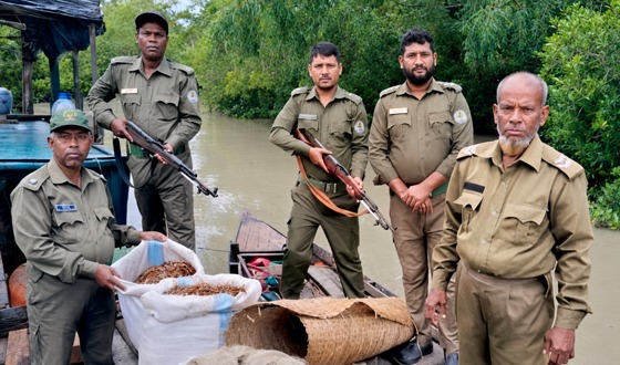 সুন্দরবনে বিষ দিয়ে চিংড়ি শিকার