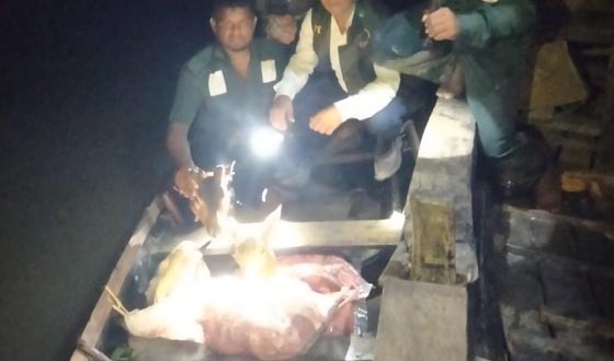 সুন্দরবনে ৭০ কেজি হরিণের মাংস উদ্ধার1