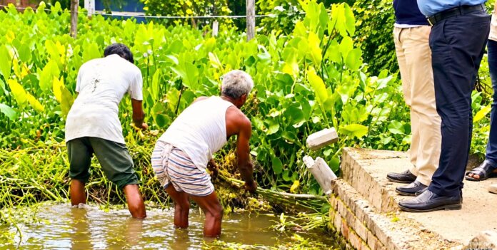 মিলেছে লাশ, মেলেনি কলির দুই পা- ৭ দিন পর ঘটনাস্থলে ফের পুলিশ