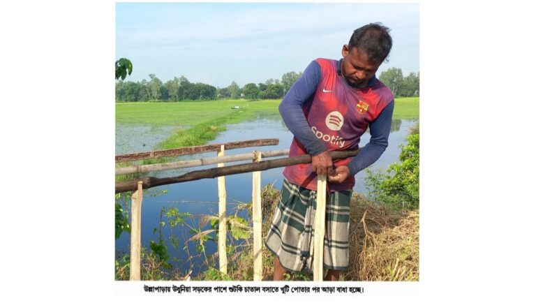 উল্লাপাড়ায় বসানো হচ্ছে শুটকি চাতাল, মাছ মিললে হবে চালু