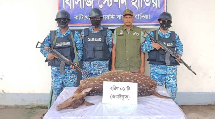 নোয়াখালীতে জবাইকৃত হরিণ উদ্ধার