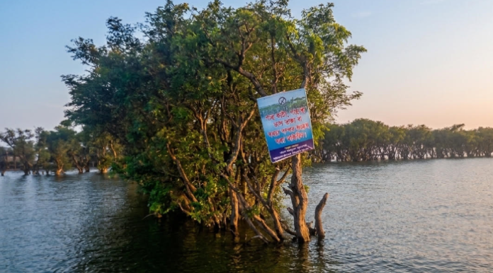 আইন-বিধিমালা থাকলেও কাগজে-কলমে বন্দী কমিটি: টাঙ্গুয়ার হাওর রক্ষায় জবাবদিহির সংকট