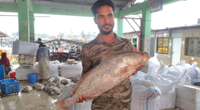 ১ কালো পোয়া ৪০ হাজারে বিক্রি