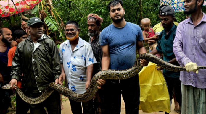 বাড়ির আঙিনায় অজগর, মুহূর্তেই ছড়াল আতঙ্ক! অক্ষত অবস্থায় উদ্ধার