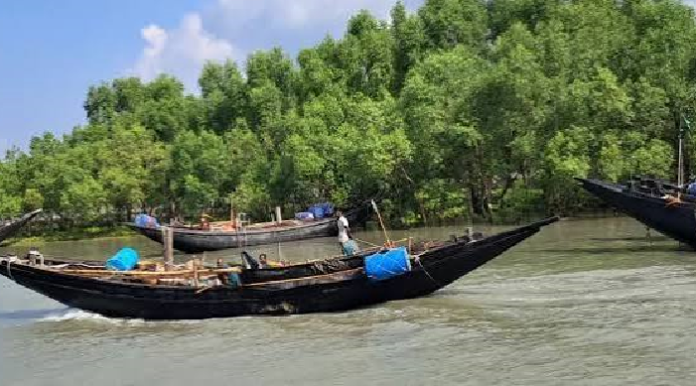 সুন্দরবনের অভয়ারণ্যে মাছ ধরায় ১২ জেলে আটক