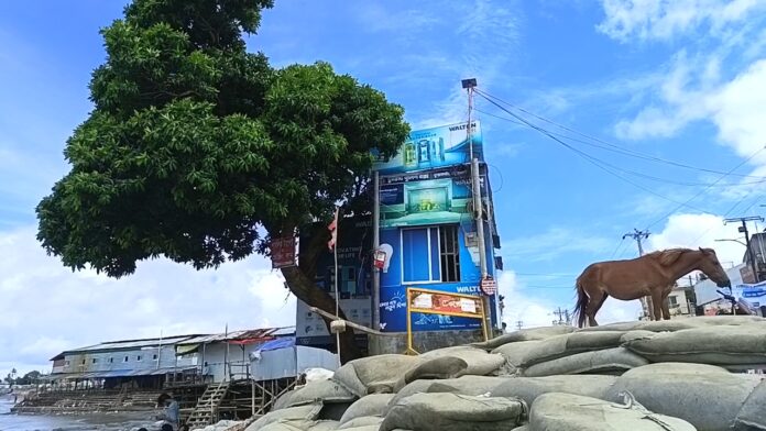 ভাঙনে অস্তিত্ব সংকটে সাগরকন্যা কুয়াকাটা