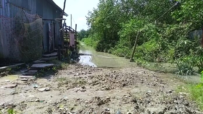 কলাপাড়ায় খেয়াঘাট আছে, কিন্তু ঘাটে পৌঁছানোর পথ নেই।