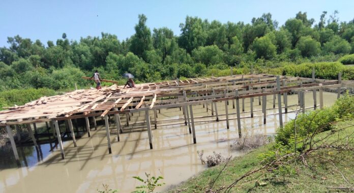 কুয়াকাটার গঙ্গামতির সংরক্ষিত ম্যানগ্রোভ বনের সাথেই তোলা হচ্ছে স্থাপনা॥ হুমকিতে বনাঞ্চল প্রকৃতি