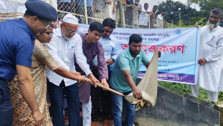 সাপাহারে প্রাতিষ্ঠানিক জলাশয়ে মাছের পোনা অবমুক্ত