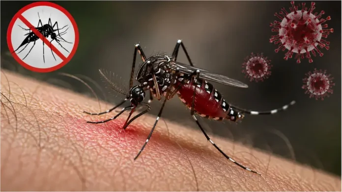 ডেঙ্গুতে সাতদিনে ৩৩ জনের মৃত্যু