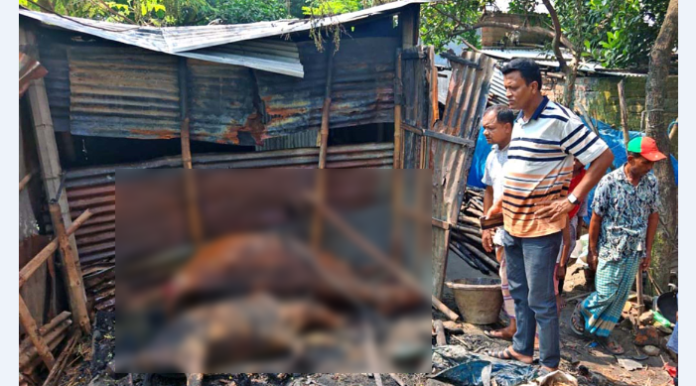 ফুলবাড়ীতে অগ্নিকান্ডে রিকশা চালকের বসতঘরসহ ৪ গবাদিপশু ভস্মিভূত