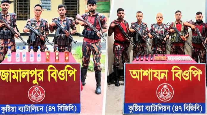 সীমান্তে বিজিবির পৃথক অভিযানে ১৫ লাখ টাকার ভারতীয় মাদক ও পণ্য জব্দ