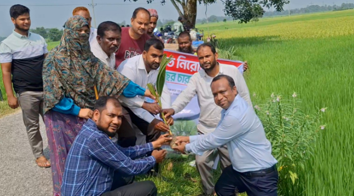 বজ্রপাত নিরোধনে জয়পুরহাটে ২০০ তালের চারা রোপন
