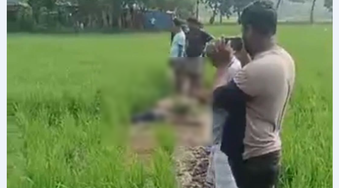 নোয়াখালীতে ইঁদুর মারার বৈদ্যুতিক ফাঁদে প্রাণ গেল কৃষকের