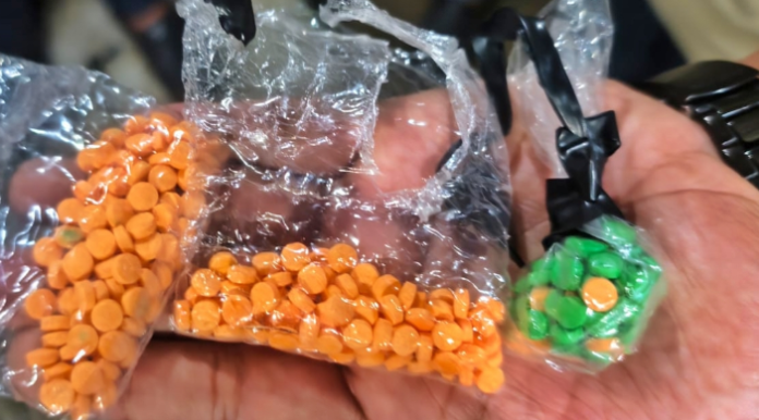 মহিপুরে ২৮৬ পিচ ইয়াবাসহ আটক ১