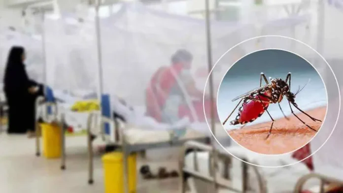 ডেঙ্গুতে আরও ৬ জনের মৃত্যু, হাসপাতালে ১৬০৮