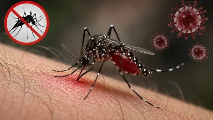 ডেঙ্গুতে মৃত্যু ৩০০ ছাড়াল, আক্রান্ত লাখ ছুঁইছুঁই